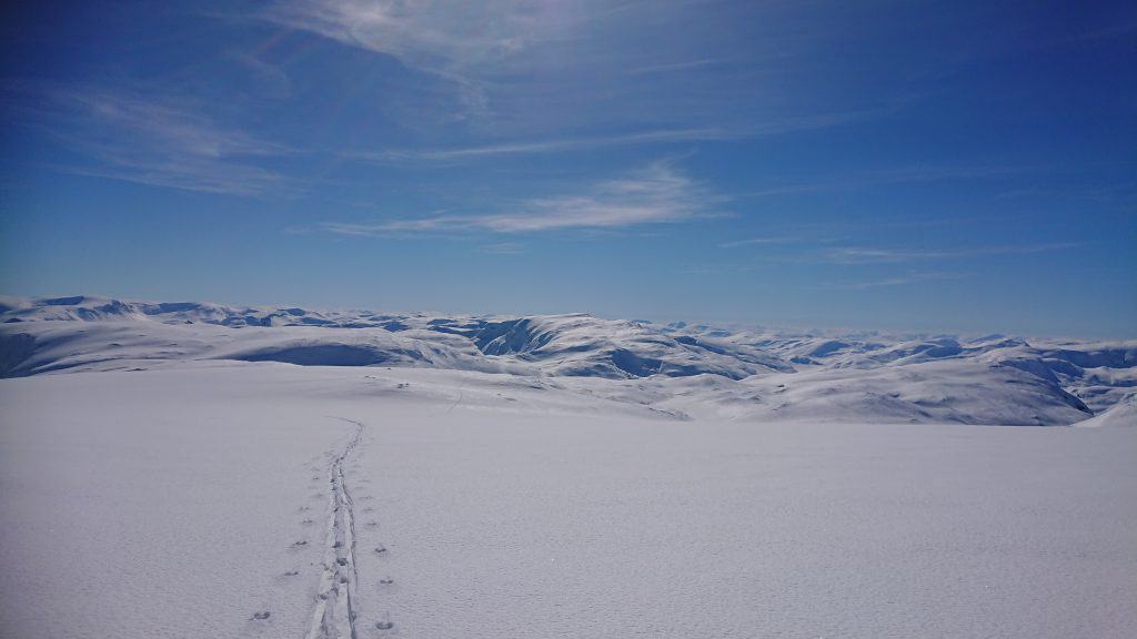 Utsikt og skispor Fresvikbreen